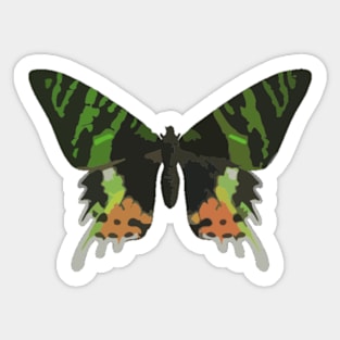 Madagascan Sunset Moth Digital Painting Sticker